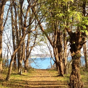 Trail's end at the Sakonnet.